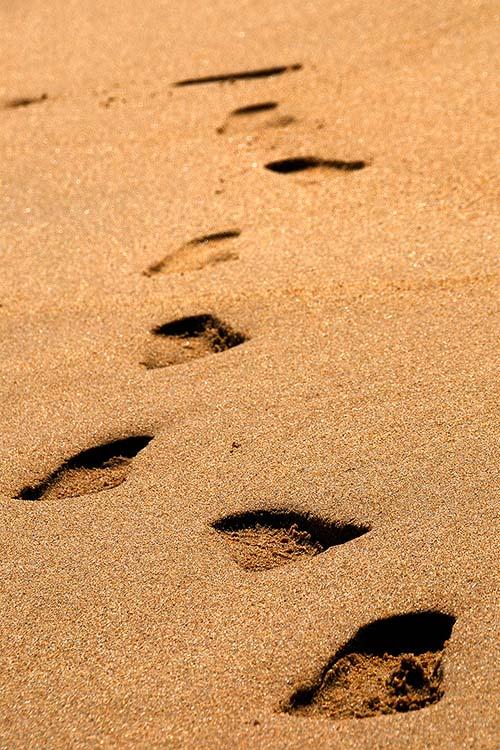 Footprints in the Sand