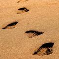 Footprints in the Sand