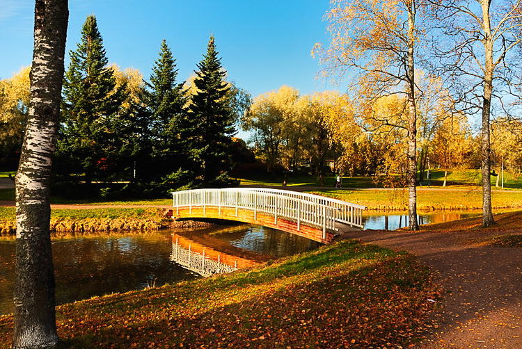 Footbridge Across a Stream