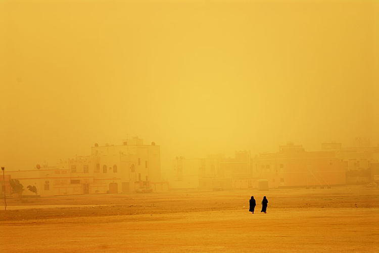 The Sand Swept Field